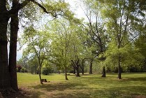 Photo #6